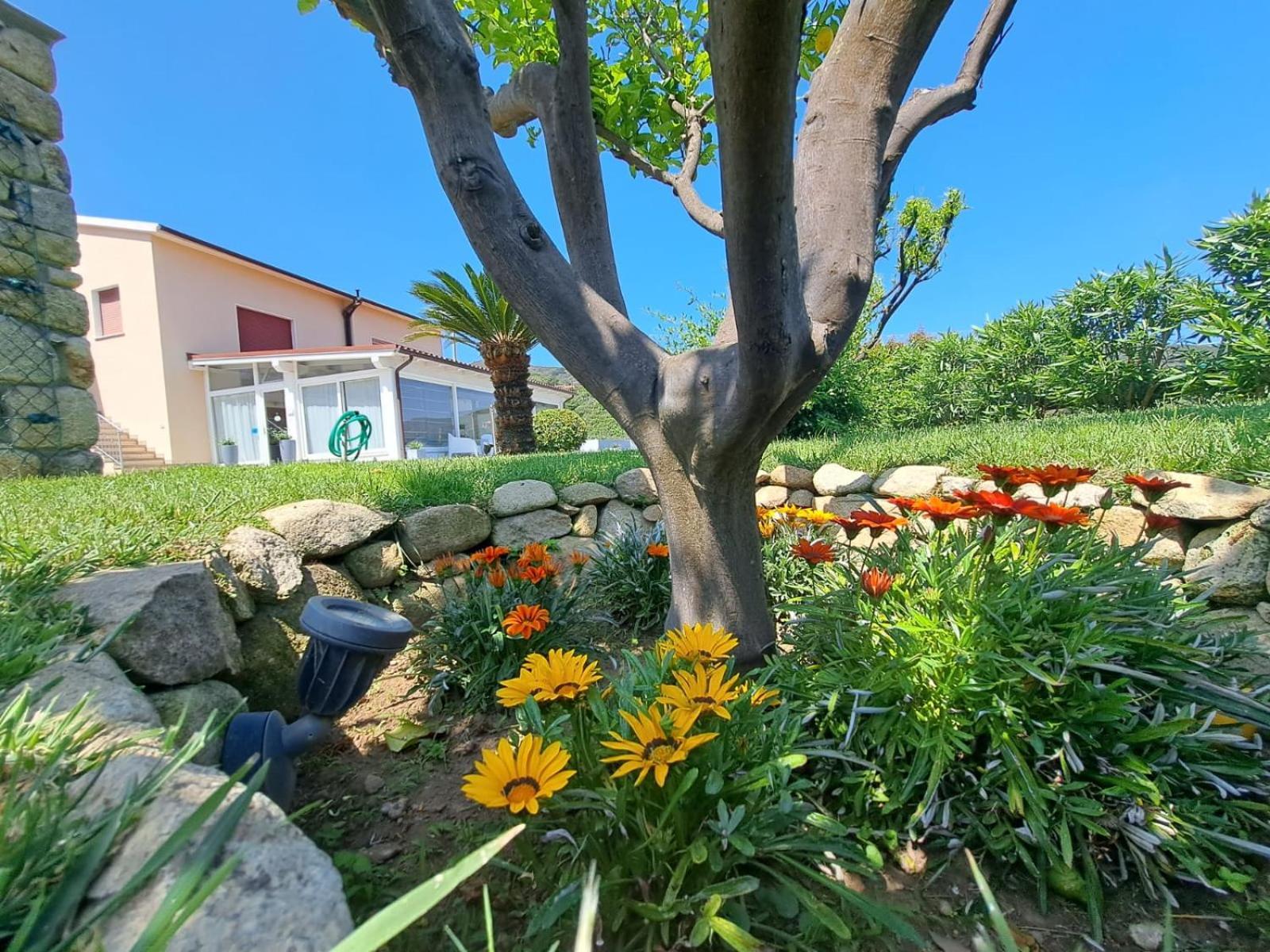 B&B Capo Al Piano Marciana Marina  Exteriör bild